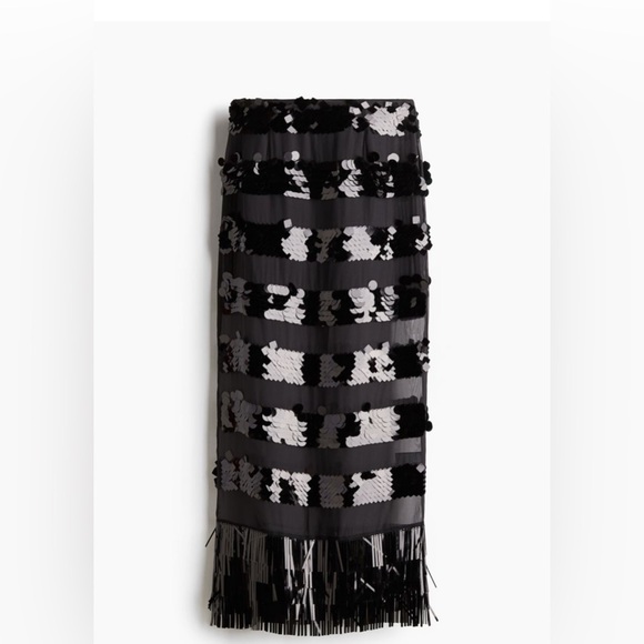 H&M Sequined Maxi Skirt with sequin frill hem. Size 2. NWT - Picture 5 of 7